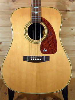 TAKEHARU Guitar WT-250 '752.jpg